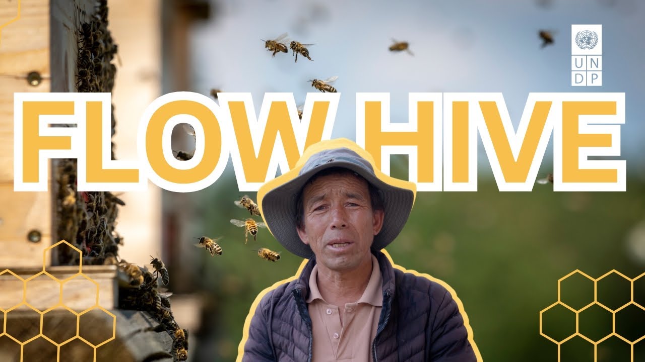 Flow Hive Technology - Government of Japan