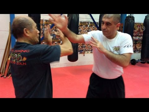 Chinese Boxing - Kung Fu Training von Sigung Dr. Min Tah Jao und Sifu Nihat Atamtürk