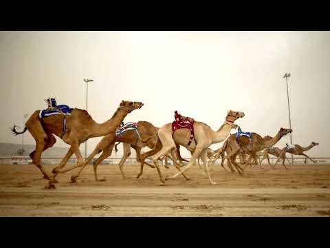 Arabic type beat “East Sahara” - prod. by Young9