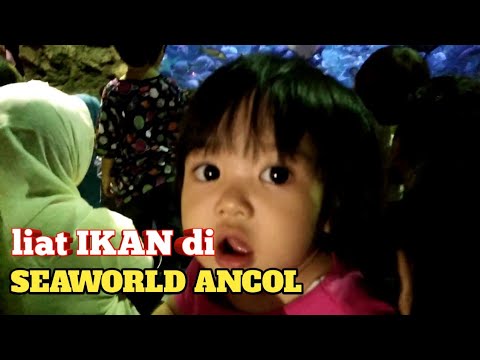 Download Game Ikan Makan Ikan