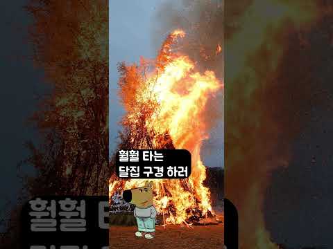 추운 겨울 따뜻한 불쇼 아주 chill 한 상황이죠? #챌린지 #구미 #행사 #chill #shorts