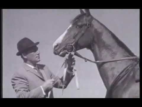 Rothmans July insert