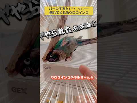 IUCN分類における絶滅の危険性を示す図。