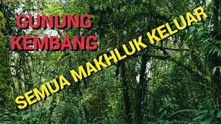 Download lagu Sisi Lain Gunung Kembang [Part 2] : Kesaksian Pendaki Tersesat mp3