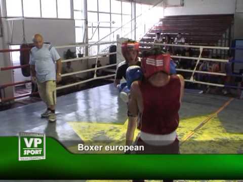 Boxer european