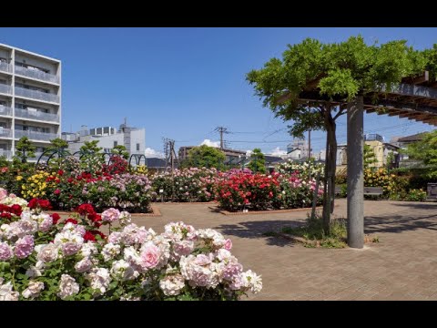 動画サムネイル