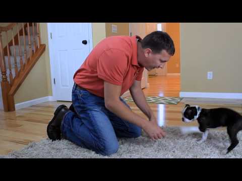 Gotta Potty Training Rev 2 Sequence 01 YouTube 1080p