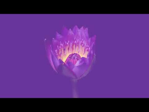 Dato Seiko - Sahasrara [Acoustic]