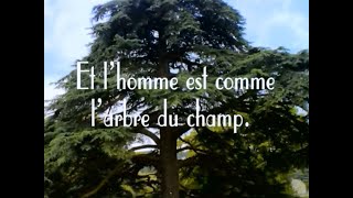 L'UNIVERS DE BRESLEV