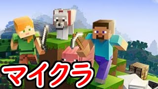 【参加型】4か月ぶりのマイクラ～探索編～　★参加方法は概要欄★【マイクラ】