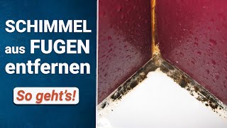 Schimmel aus Silikonfugen entfernen | So geht’s!