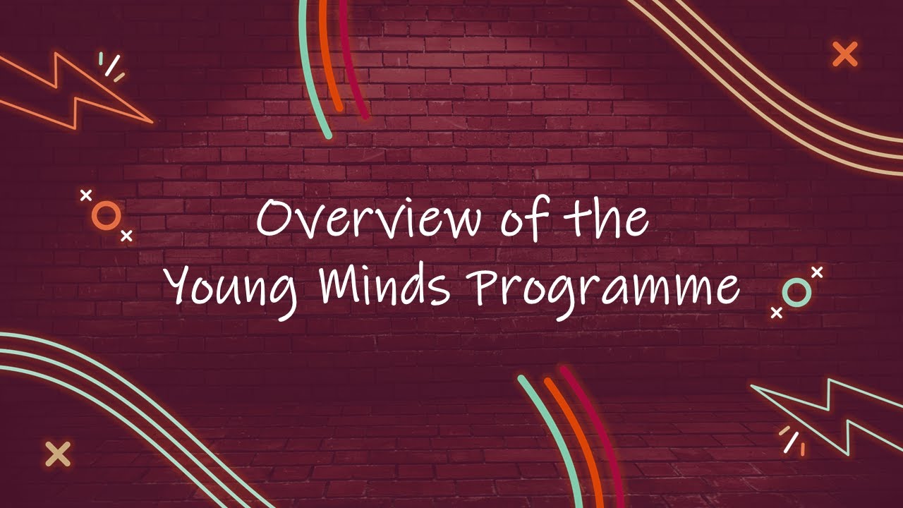 An Overview of the Young Minds Programme