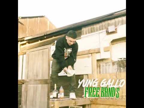 Yung Gallo - Free Bands (Exclusive)
