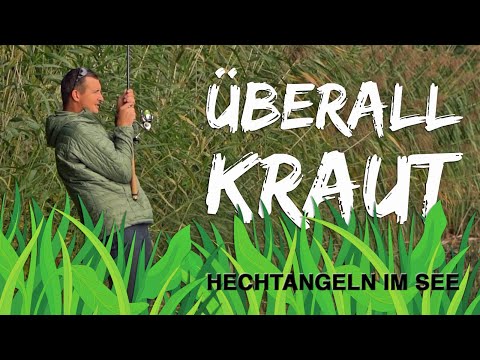 Gewässer voller Kraut: So fängst Du trotzdem Hechte