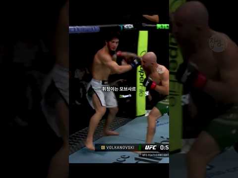 볼카노프스키 미쳤다, 모브사르 20연승 끊고 KO 승리 ㄷㄷ