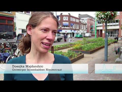 Deventer Vandaag - Bloembakken nieuwstraat - Maandag 24 juni