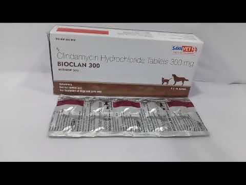 Clindamycin Hydrochloride 300mg