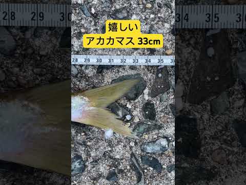 マンヒング基地のバラクーダ (ドイツ)