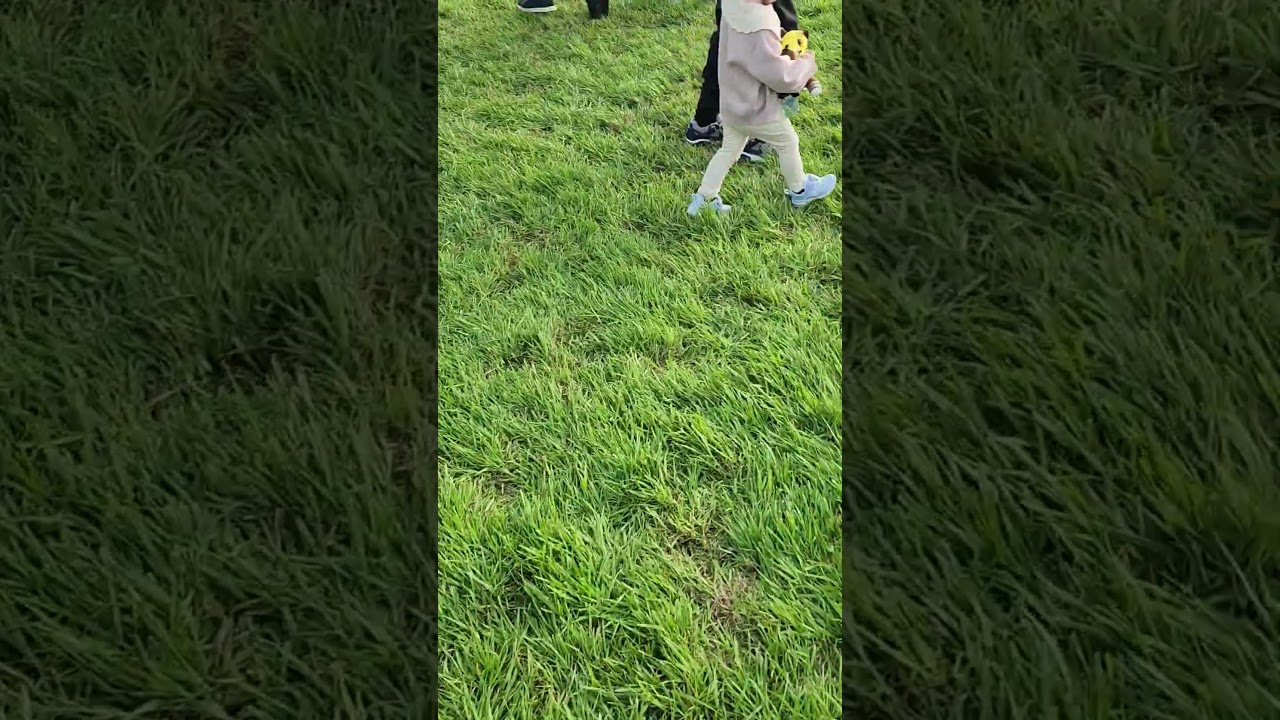 小倉競馬場の馬場解放