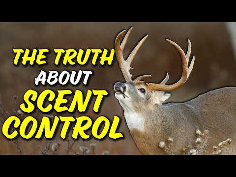 What does the research say about scent control for deer hunting? Expert weighs in!