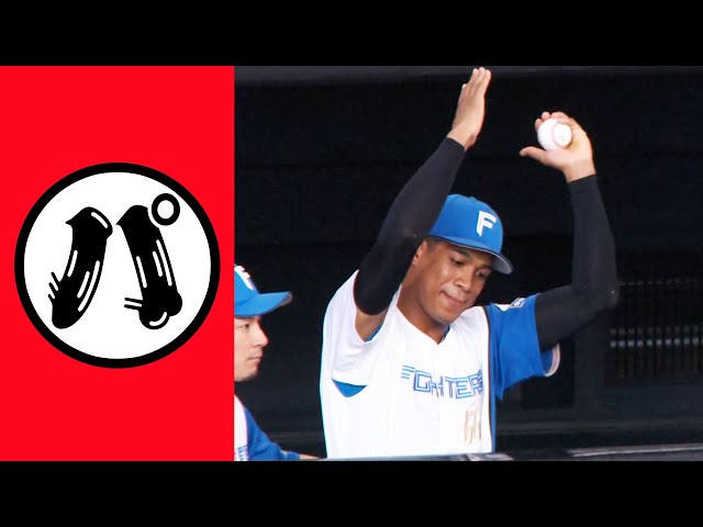 【パ】パパパパパパパパイナポーッ!!【まとめるほどではないまとめ】