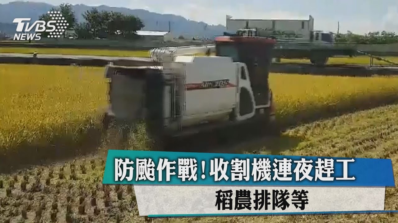 防颱作戰!收割機連夜趕工 稻農排隊等