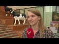 Studenten Aeres Hogeschool in Dronten reageren op stikstofproblematiek