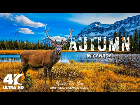 🍁Canada 4K - Most Beautiful Autumn Video in Canada in 4K UHD🍂