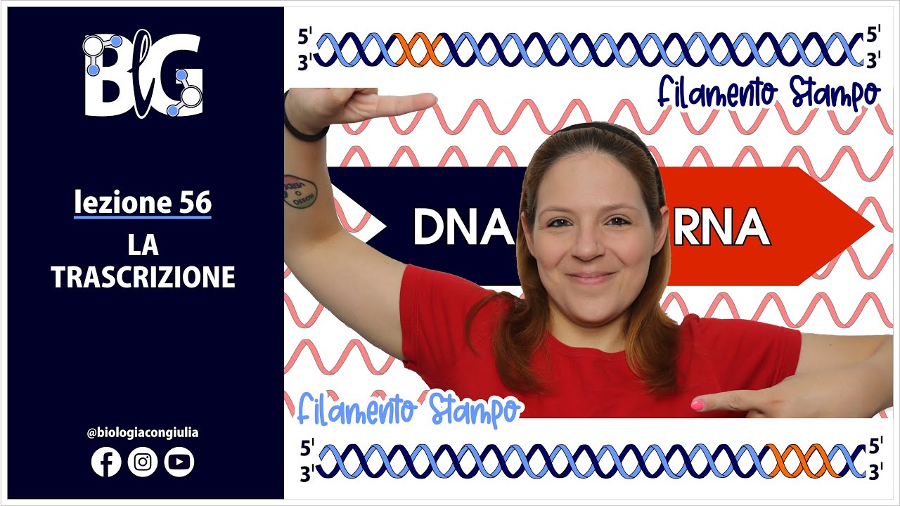 La TRASCRIZIONE - da DNA a RNA