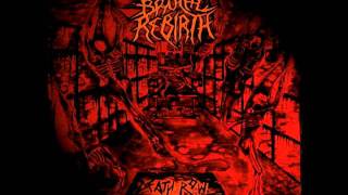 Brutal Rebirth - Symbols of Hate