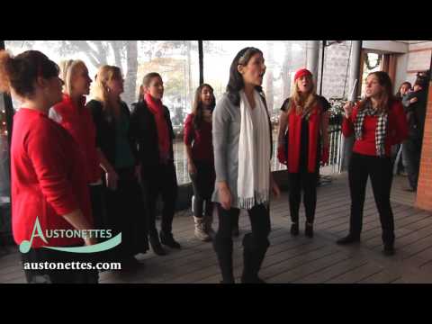 The Austonettes - "I Will Wait" (Mumford and Sons)