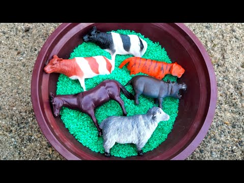 Animal toy set Part-27 Tiger,giraffe,Zebra,elephant,gorilla,deer,Lion,cow,horse,goat,wild animal toy