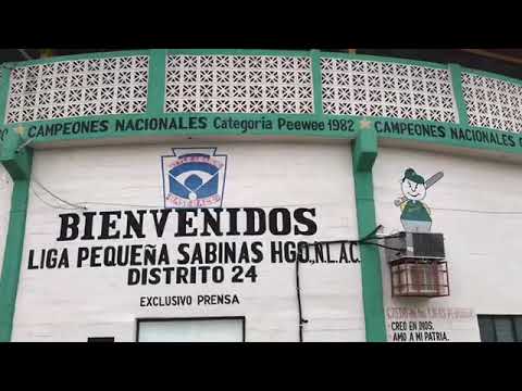 Gran hazaña inolvidable de béisbol de los niños campeones (1)