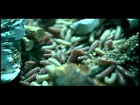 Santiago Cortes Dont Leave Me