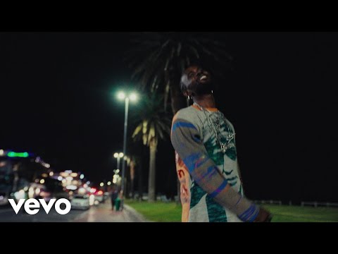 Black Sherif - Dreamer (Visualizer)