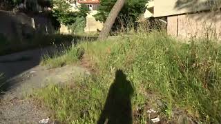 ariano-ma-si-puo-vivere-in-queste-condizioni