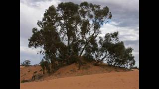 preview picture of video 'Mildura to Broken Hill Australia the 1 Day Road Trip!'