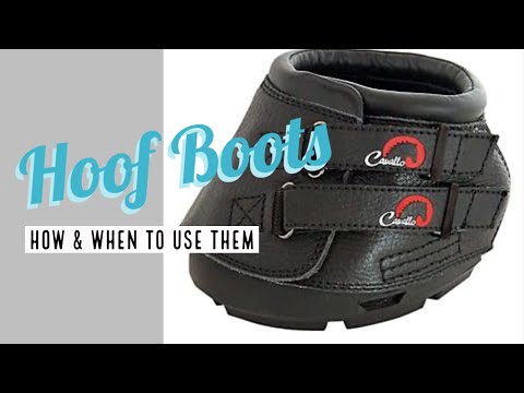 All About Hoof Boots! l How & When to Use Them