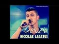 Nicolae Lacatus-Gelozia 