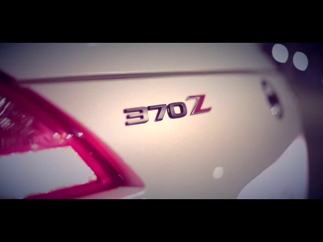 NISSAN 370 Z CAT DELETE
