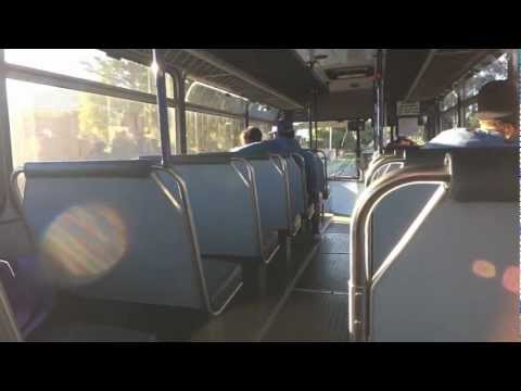 Transdev NSW M/O 7558 - Volvo B10M Mk4 (ZF|Custom Coaches 210)