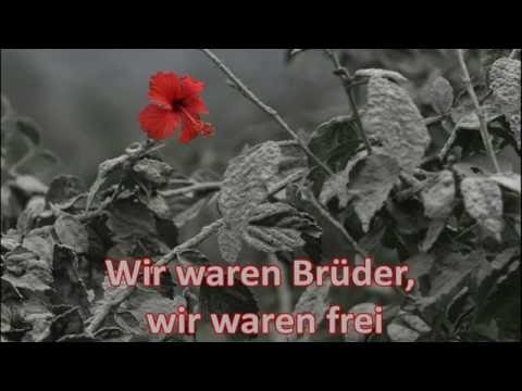 VARG - Ascheregen (Lyrics Video)