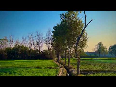4k Nature with natural sound in bannu