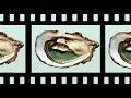 WHAT S YOUR MOVIE 3