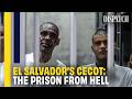 Inside the World's Most Dangerous Prison: El Salvador's CECOT