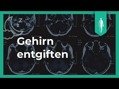 Deshalb braucht Dein Gehirn Schlaf! Alzheimer | Demenz | Entgiftung | Prof. Dr. Amann-Jennson