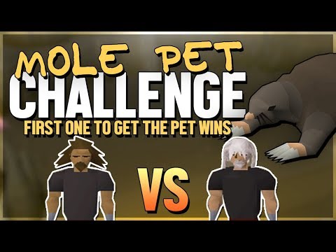 Giant Mole Pet Challenge, First pet wins! | Tanzoo v Virtoso | Episode 136