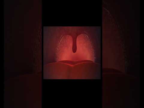 INSIDE THORAT | ESOPHAGUS | VOCAL CORDS #3danimation #humanbody #esophagus #vocals #food #trachea