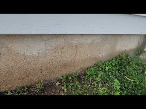 A Congregation of Ants on the Side of the Home in Mantoloking, NJ