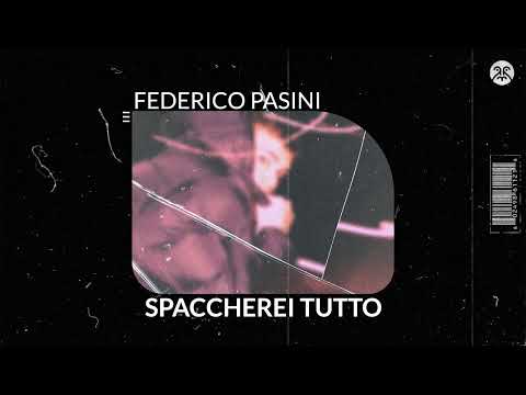 Federico Pasini - Spaccherei Tutto (Visualizer)